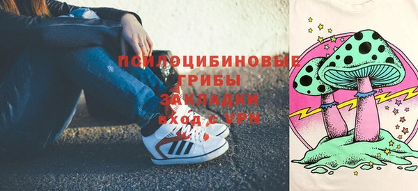 герыч Каменногорск