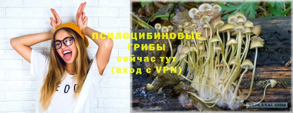 герыч Каменногорск