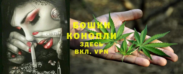 герыч Каменногорск