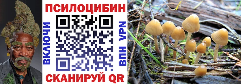 Псилоцибиновые грибы прущие грибы  Купить где  Ливны 
